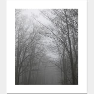 Moody and Misty Forest Posters and Art